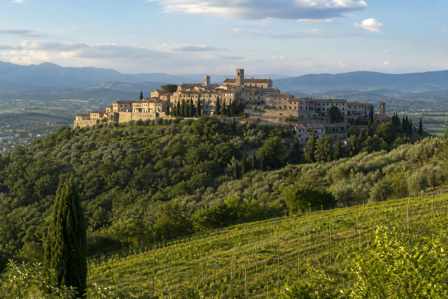 Montefalco tra colline, vigneti e oliveti