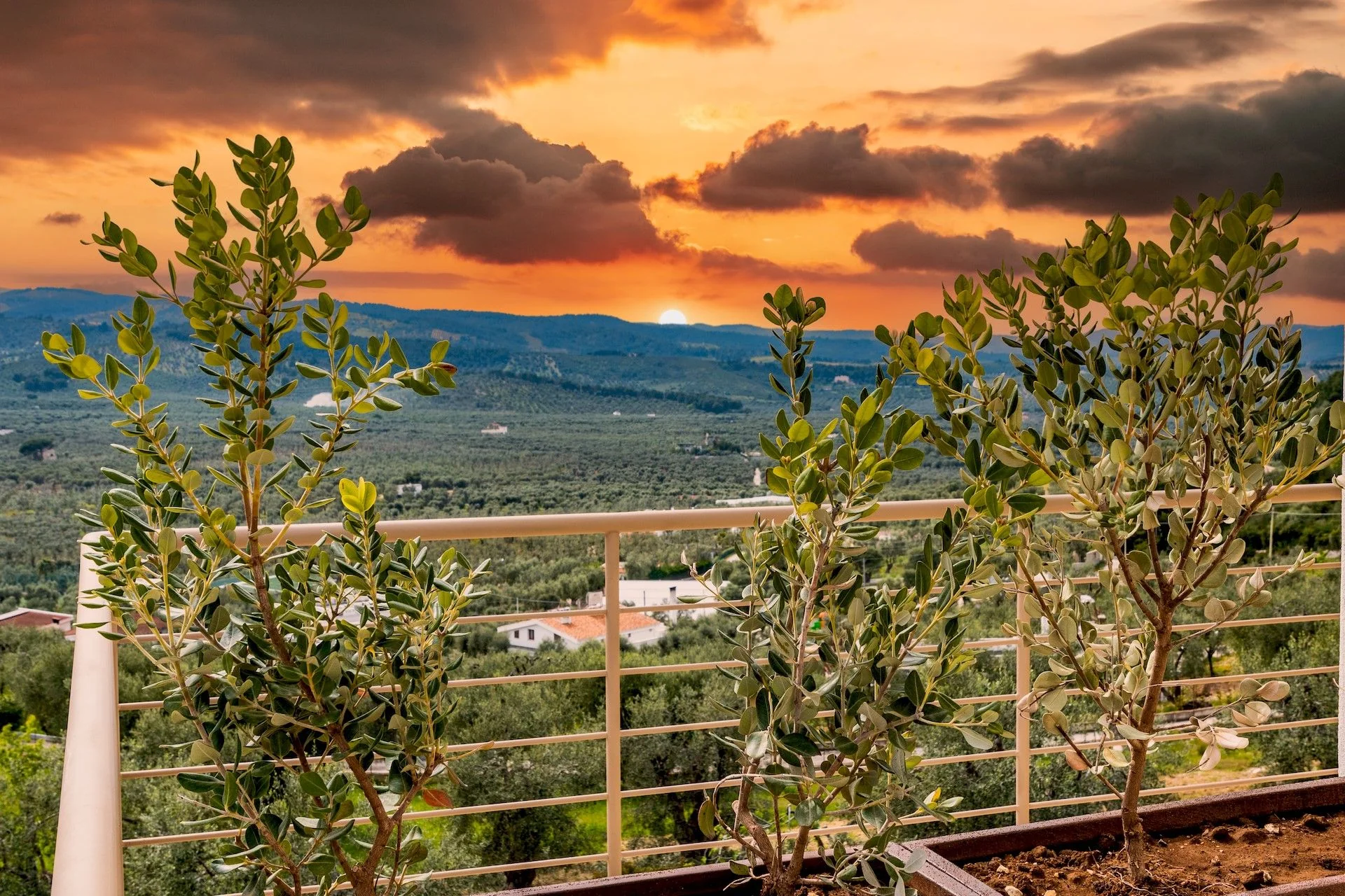Il tramonto sulla campagna di Vieste dalla Posta del Guardiano