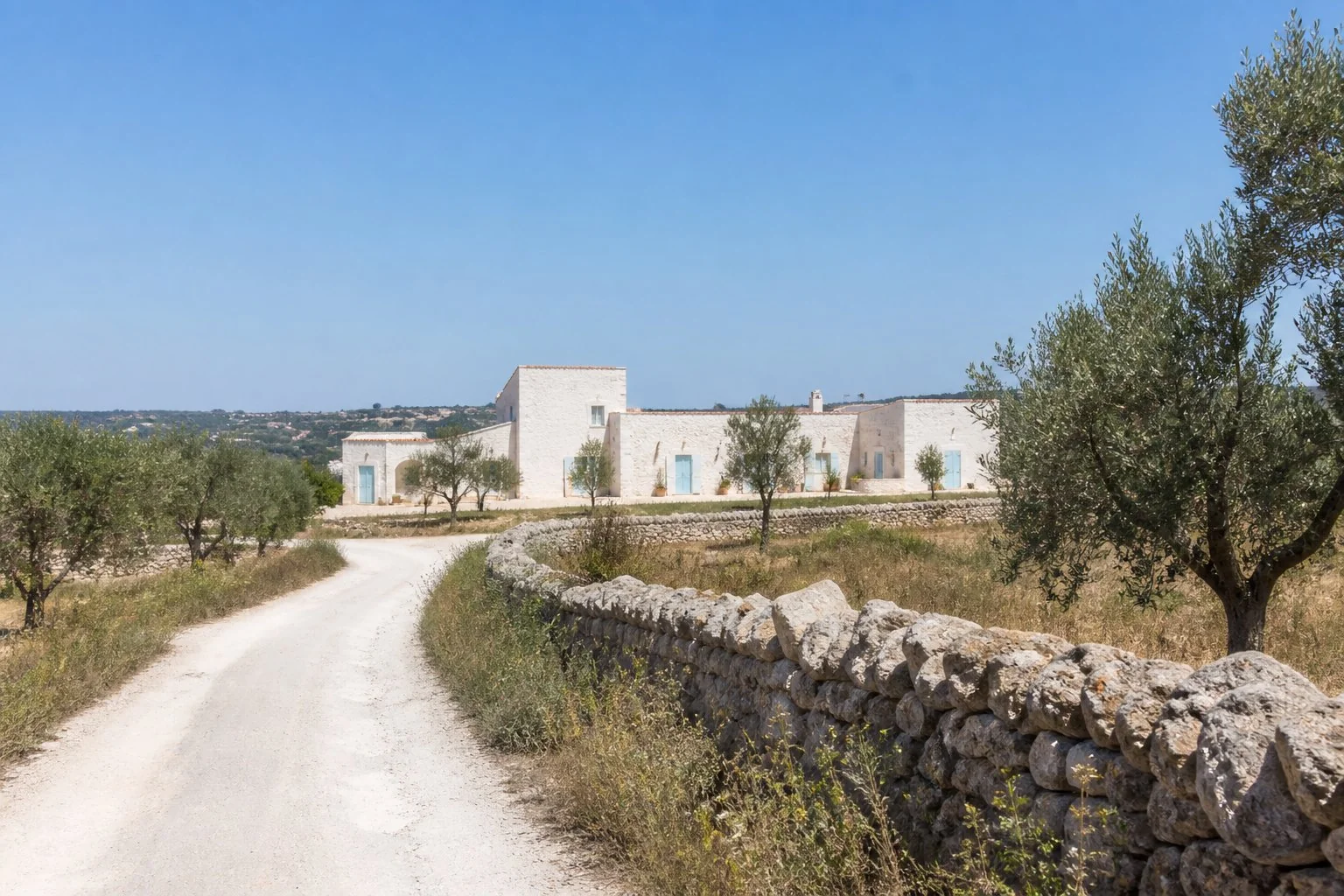 Strada bianca verso la masseria tra ulivi e muretti